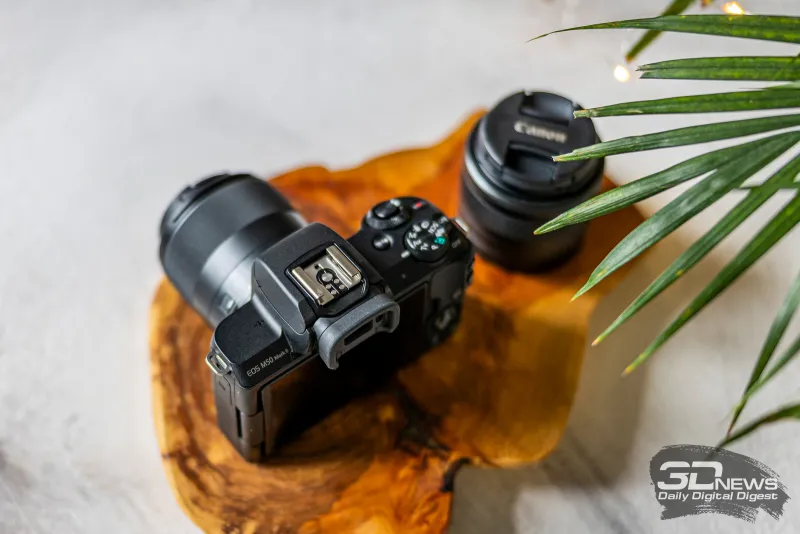 Professional Cameras